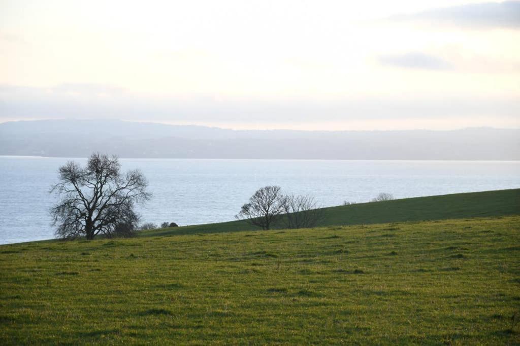 Whitehead Holiday Cottage Exterior photo